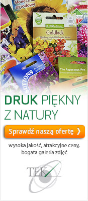 TEK Drukarnia